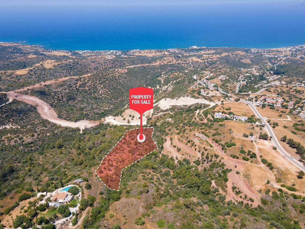 Field - Neo Chorio, Paphos