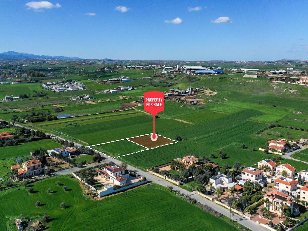 Field-Dali-PR36894
