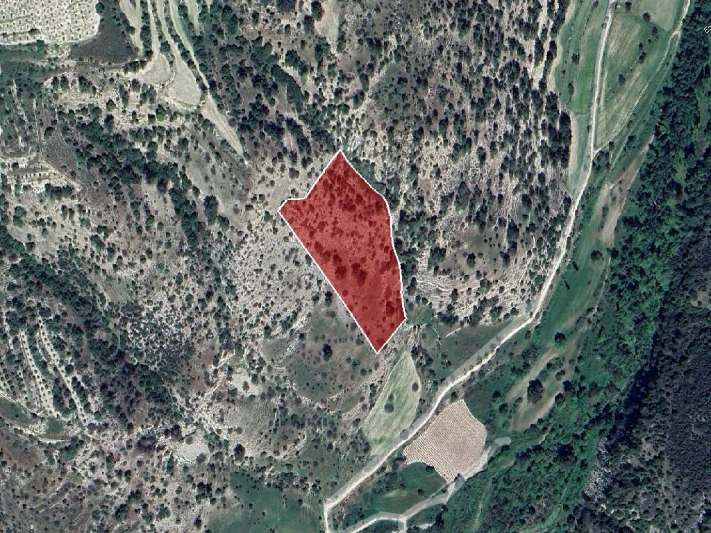 Field-Pitargou & Kato Panagia-PR38818
