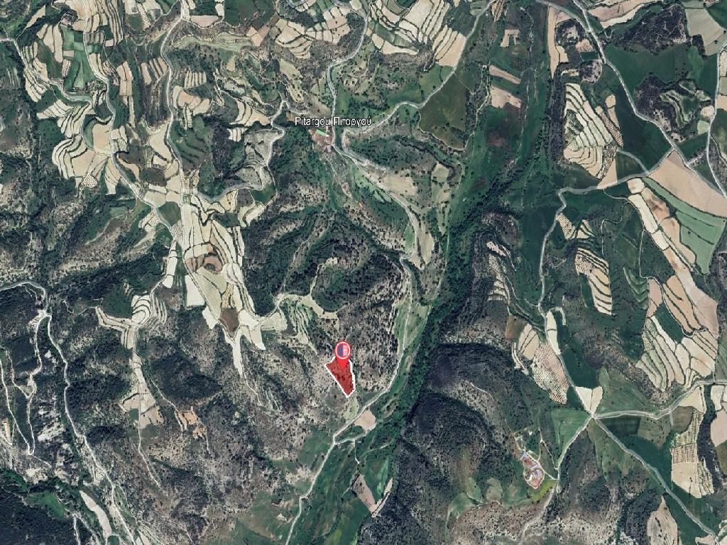 Field-Pitargou & Kato Panagia-PR38818