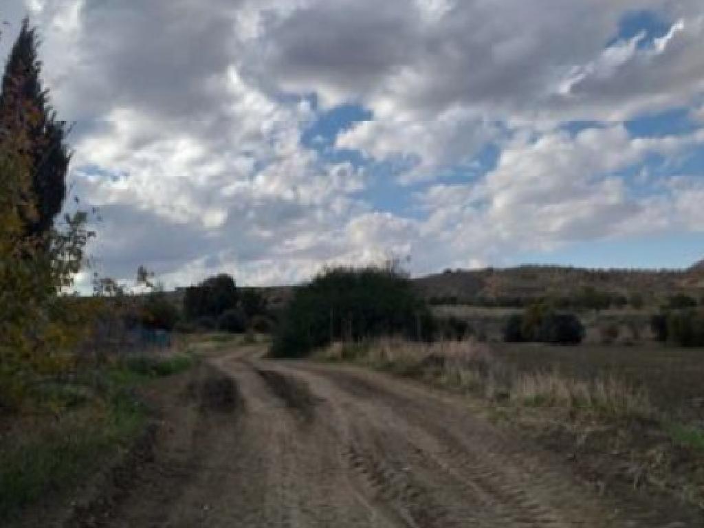 Field-Agrokipia-PR40390