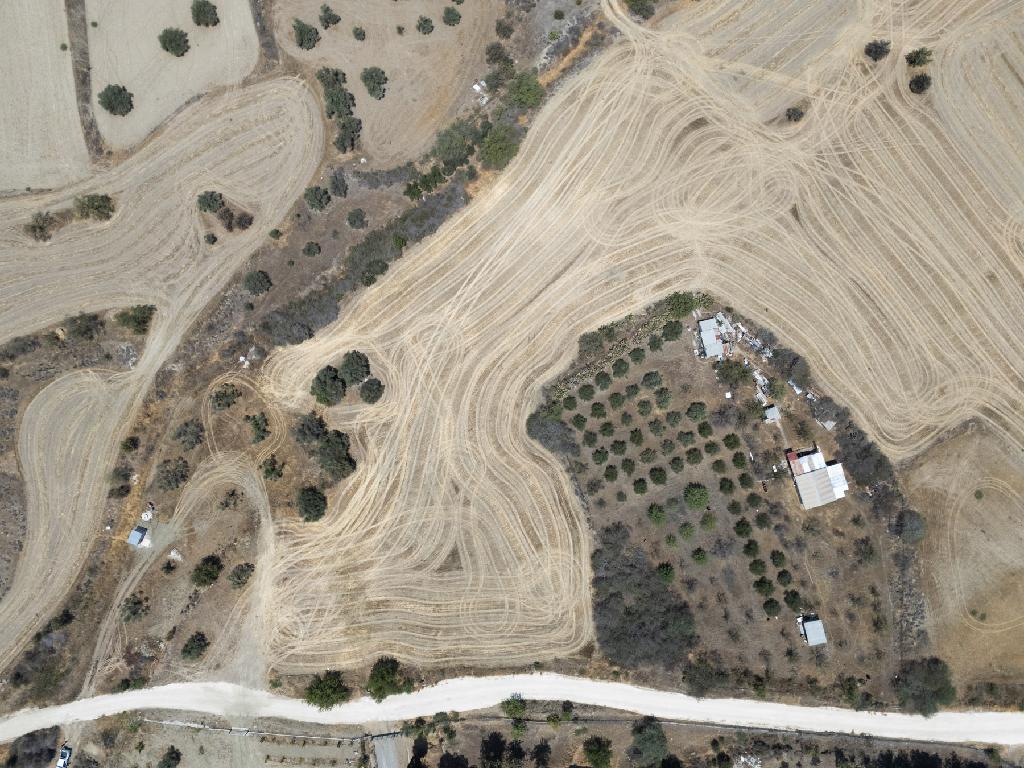 Field-Agrokipia-PR40390