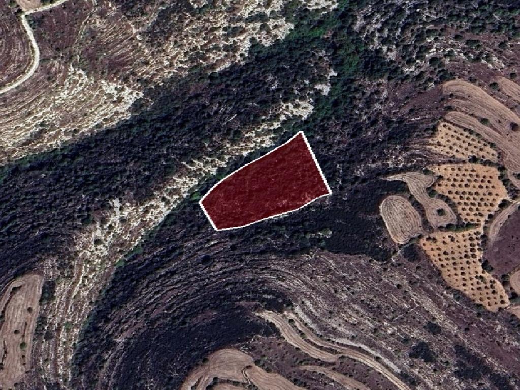 Field-Kritou Terra-PR41709