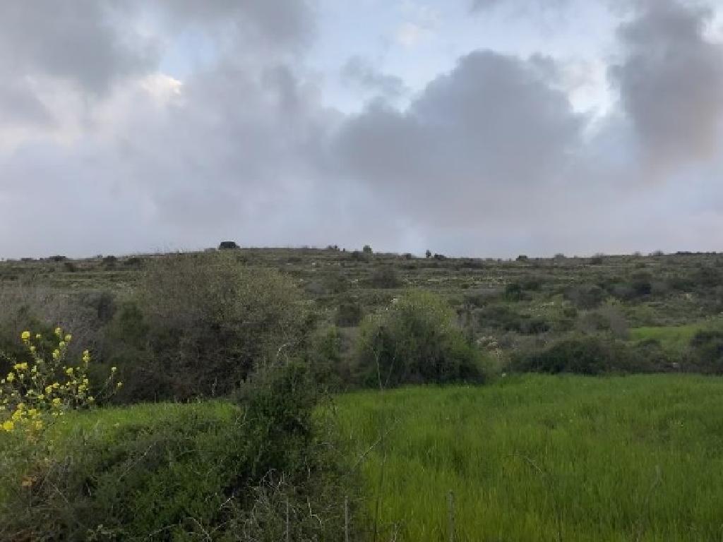Field-Kritou Terra-PR41709