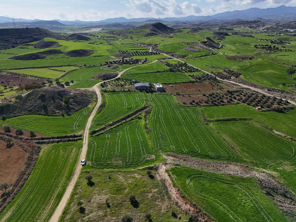 Field - Tseri, Nicosia