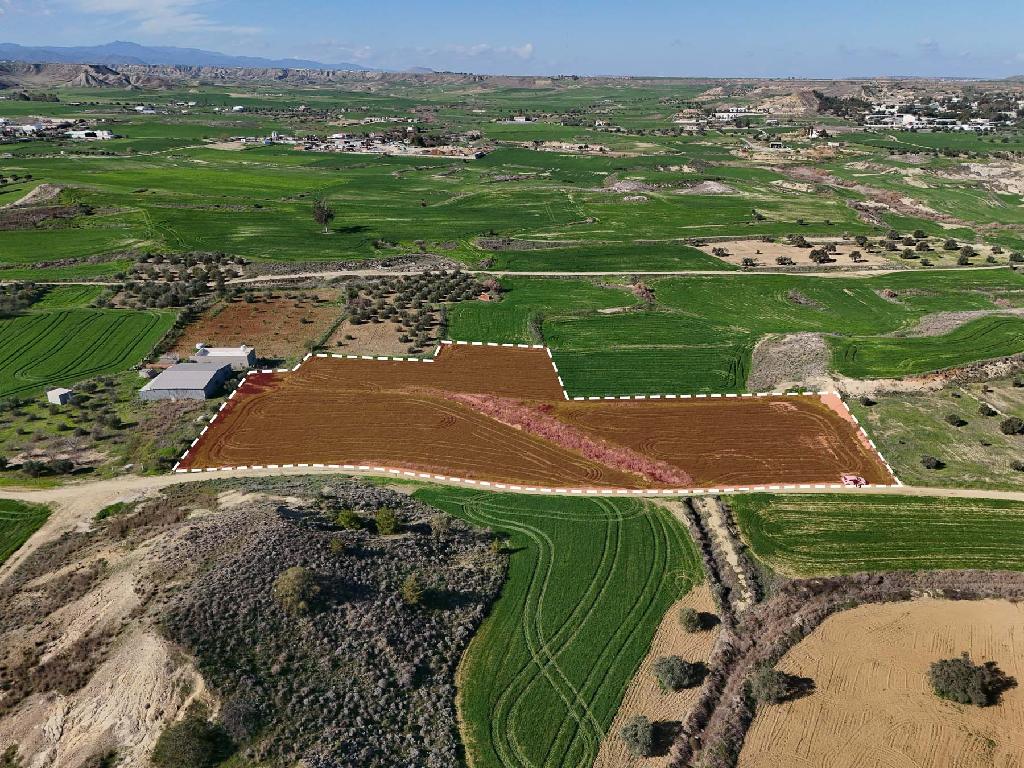Field - Tseri, Nicosia