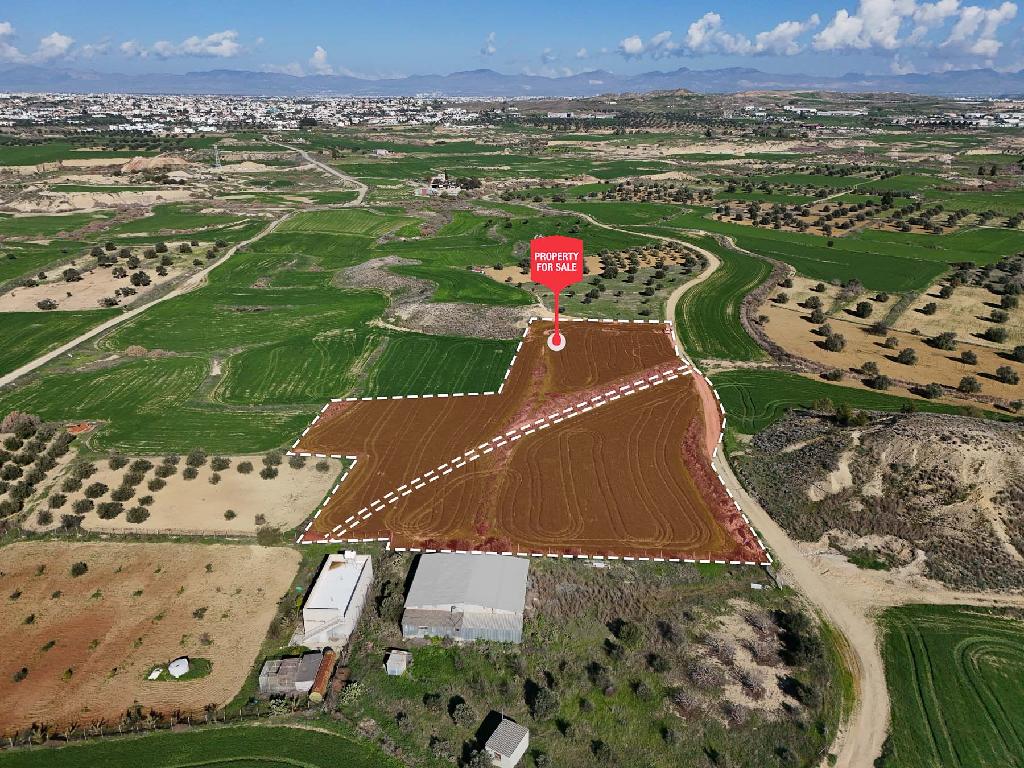 Field - Tseri, Nicosia