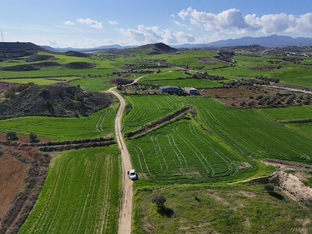 Field - Tseri, Nicosia