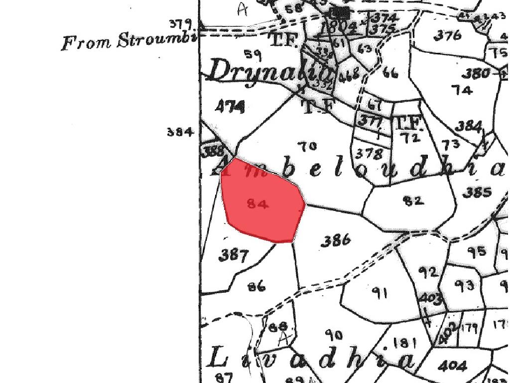 Field-Thrinia-PR42657