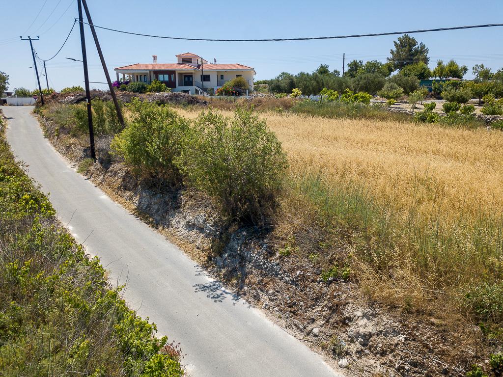 Field - Tsada, Paphos