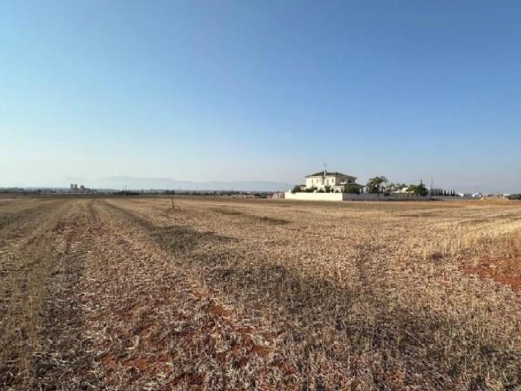 Field-Paleometocho-PR44623