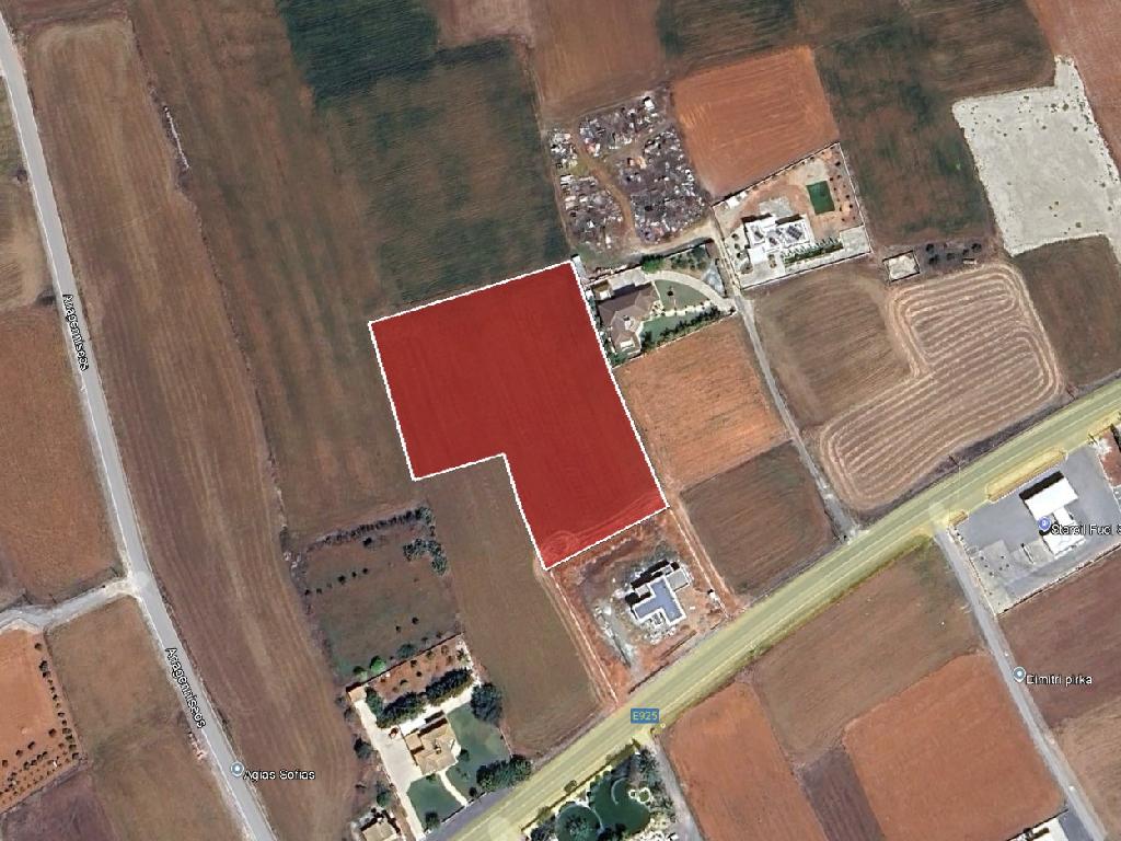 Field-Paleometocho-PR44623