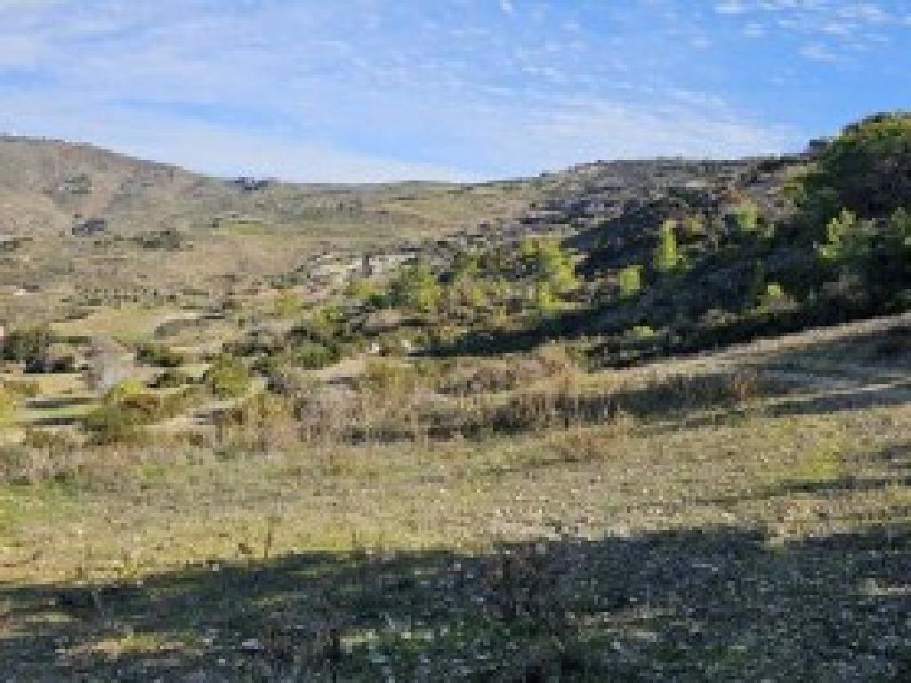 Field (share) - Ineia, Paphos