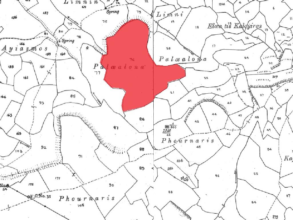 Field (share) - Ineia, Paphos