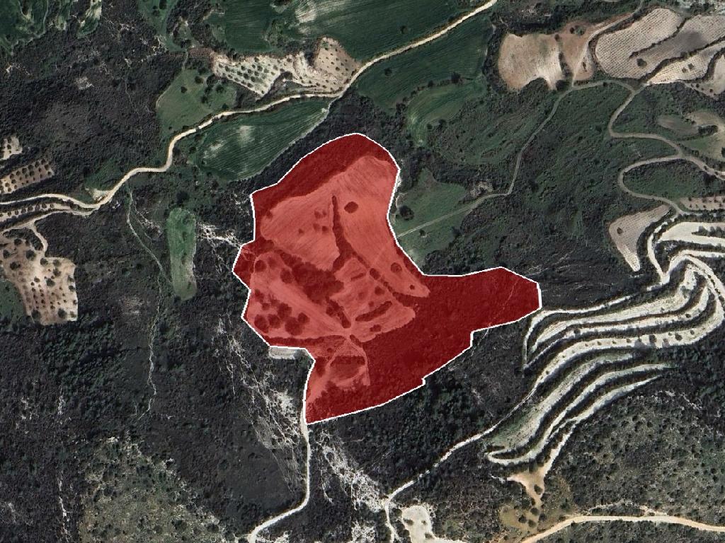 Field (share) - Ineia, Paphos