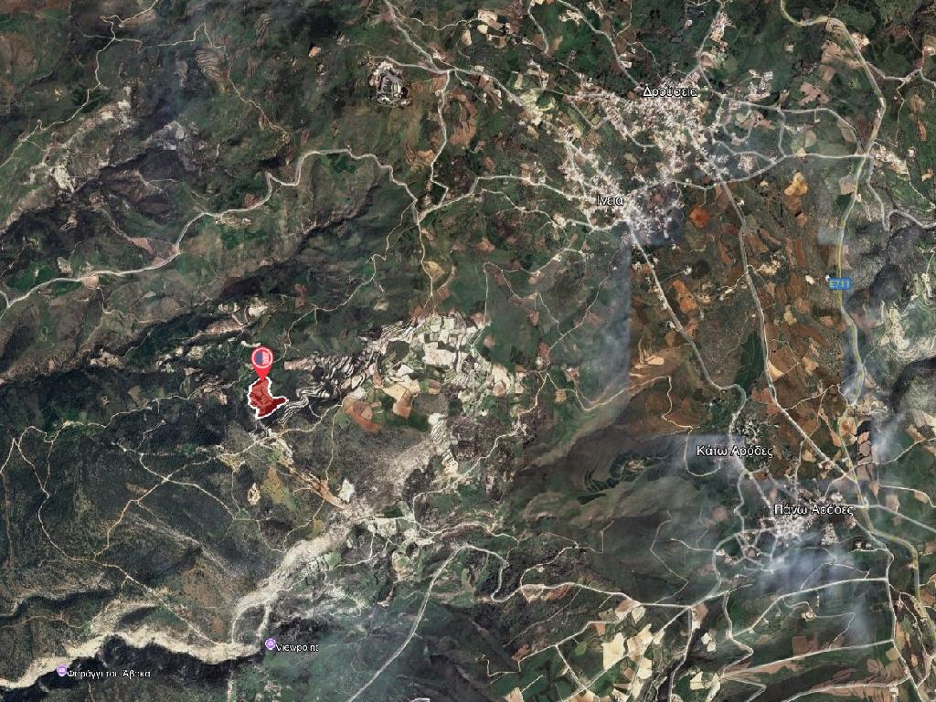 Field (share) - Ineia, Paphos