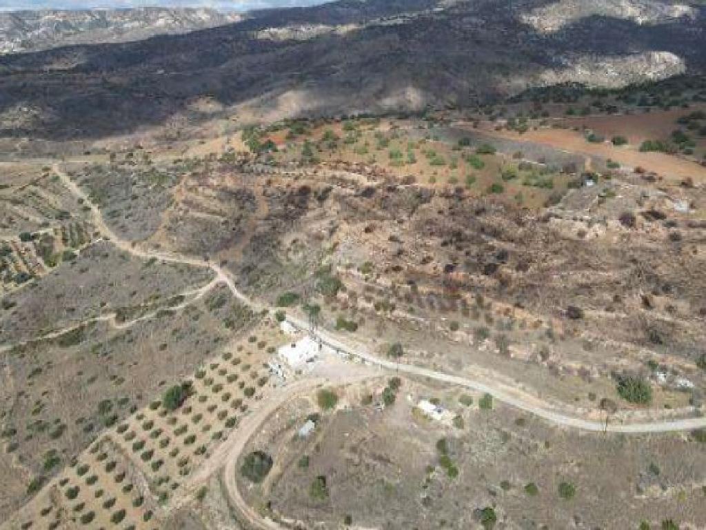 Field (share) - Tala, Paphos