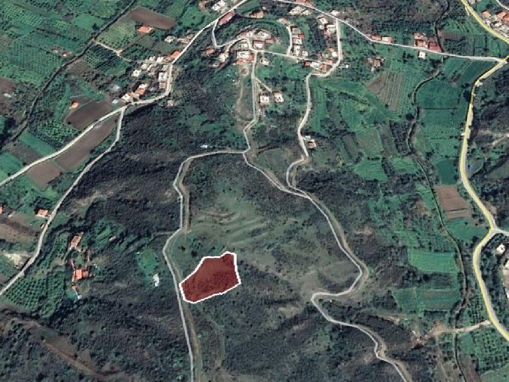 Field-Kato Pyrgos-PR10242