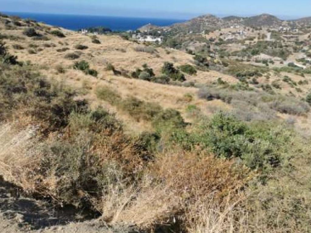 Field-Kato Pyrgos-PR10242