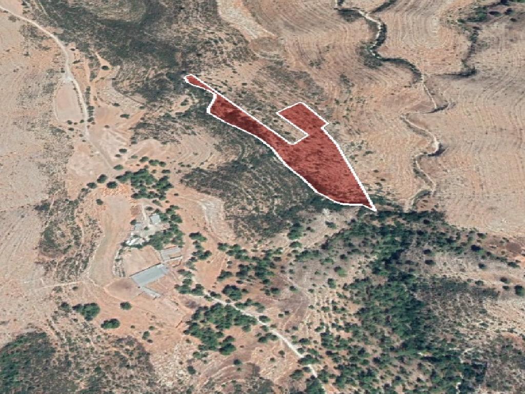 Field-Lofou-PR11837