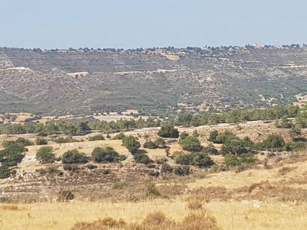 Field-Lofou-PR11837
