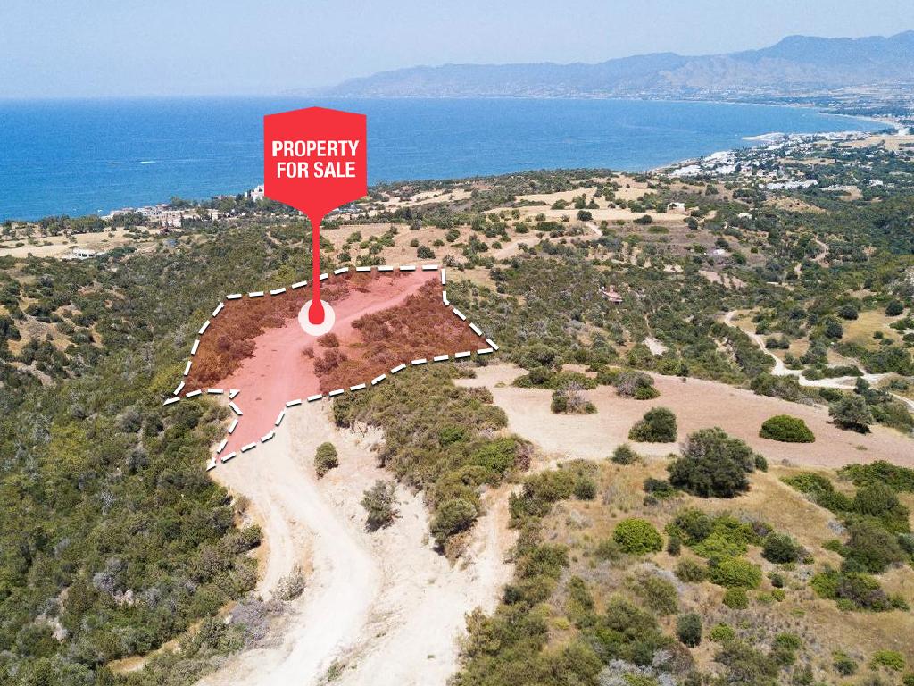 Field - Neo Chorio, Paphos