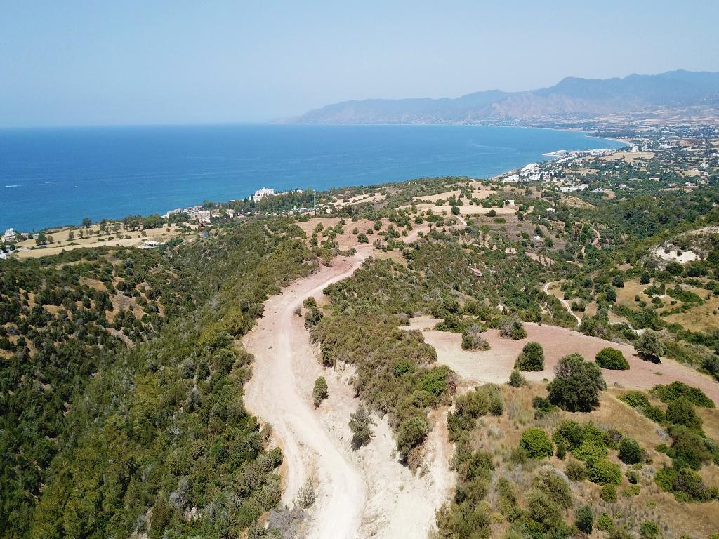 Field - Neo Chorio, Paphos