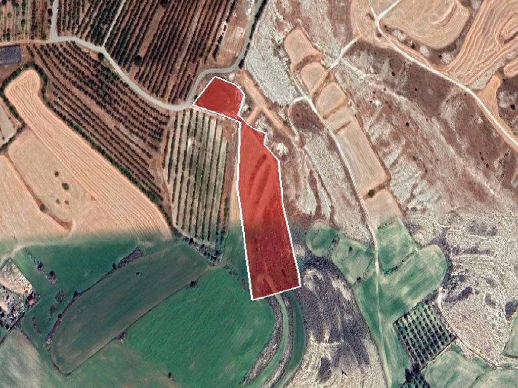 Field-Aradippou-PR36363