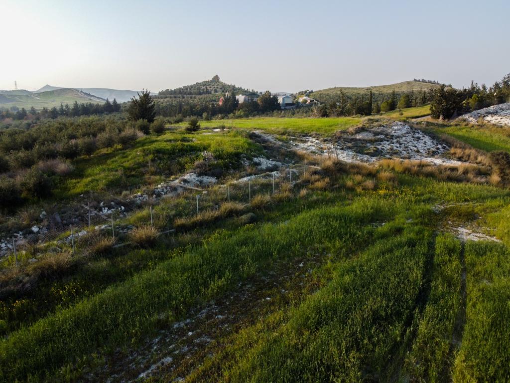 Field-Aradippou-PR36363