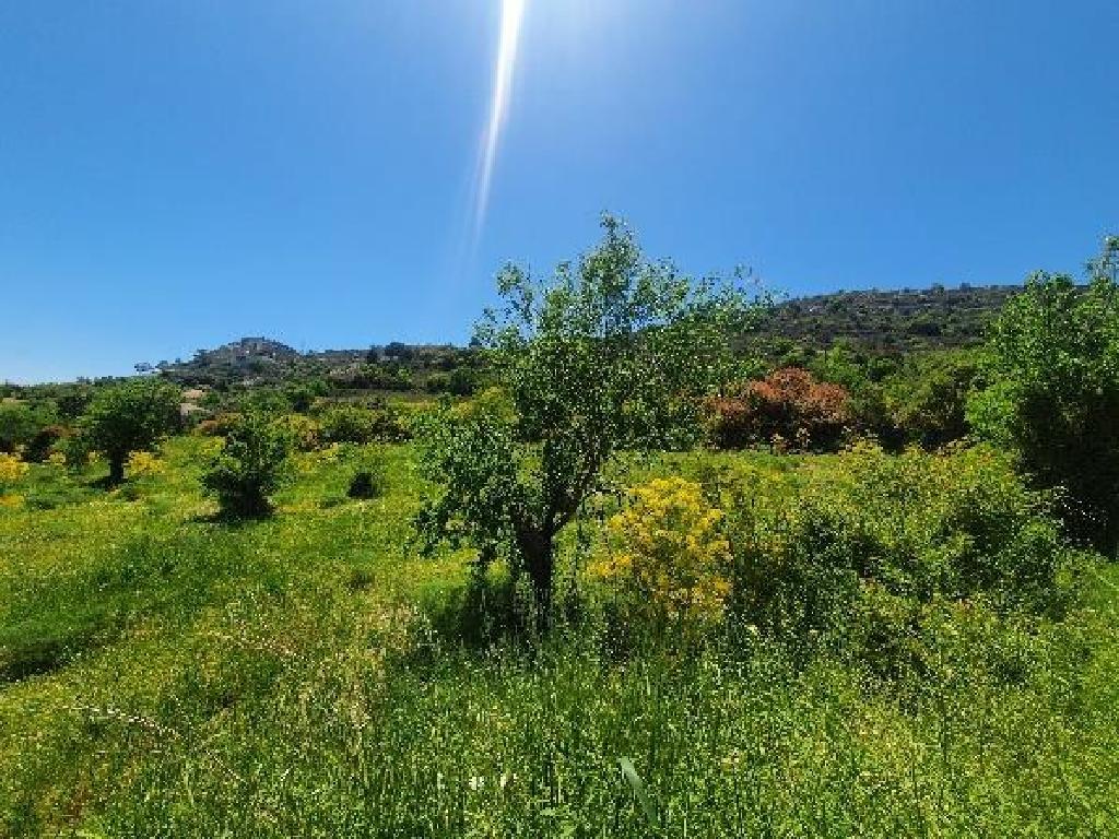 Field (Share) - Kato Lefkara, Larnaca