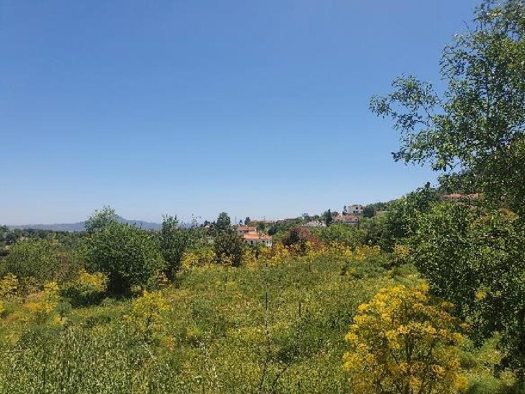 Field (Share) - Kato Lefkara, Larnaca