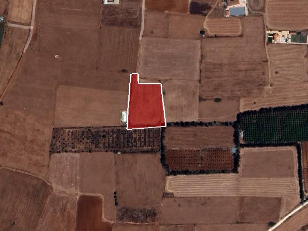 Field-Frenaros-PR39955