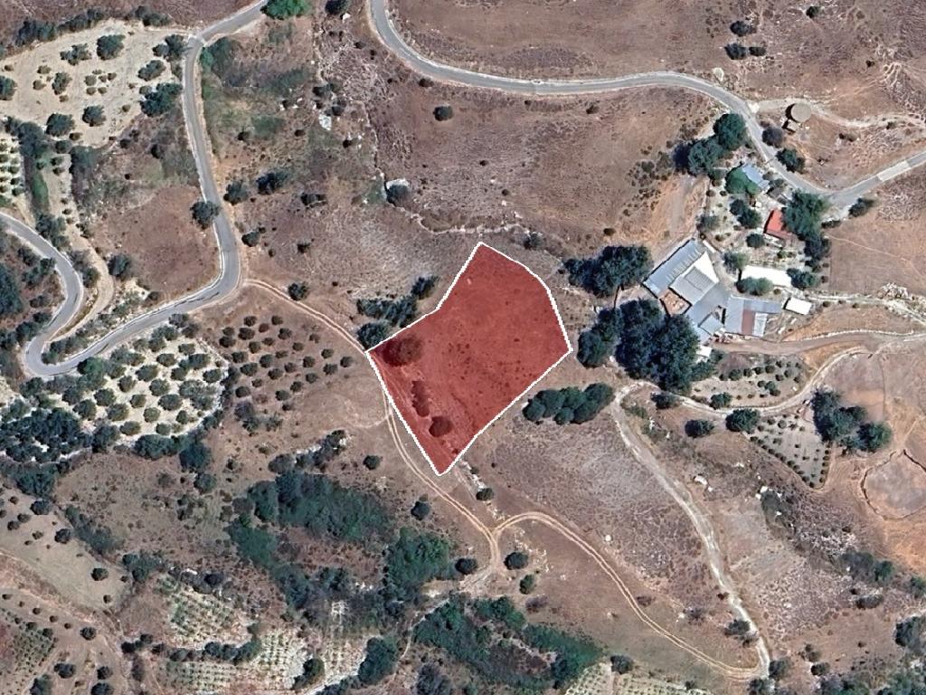 Field-Koilinia-PR41428