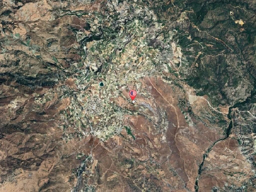 Field-Koilinia-PR41428