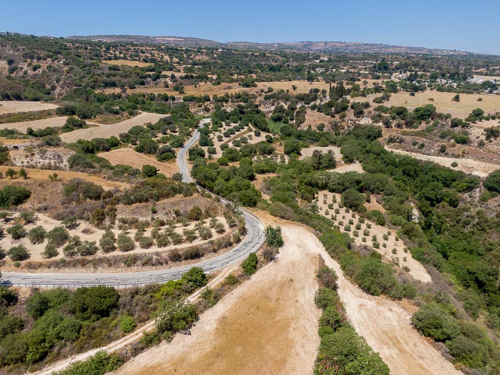 Field (Share) - Kato Akourdaleia, Paphos