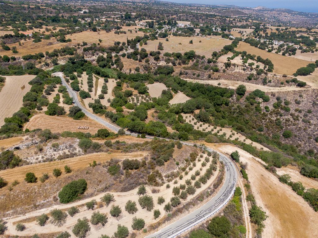Field (Share) - Kato Akourdaleia, Paphos