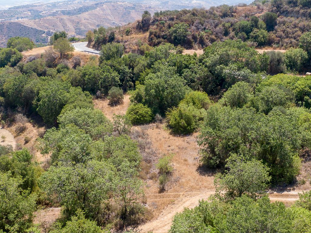 Field-Kato Akourdaleia-PR41469