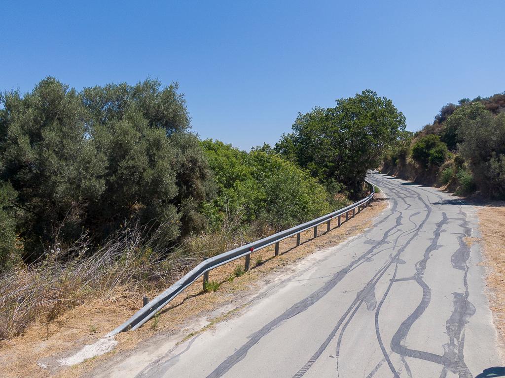 Field-Kato Akourdaleia-PR41469