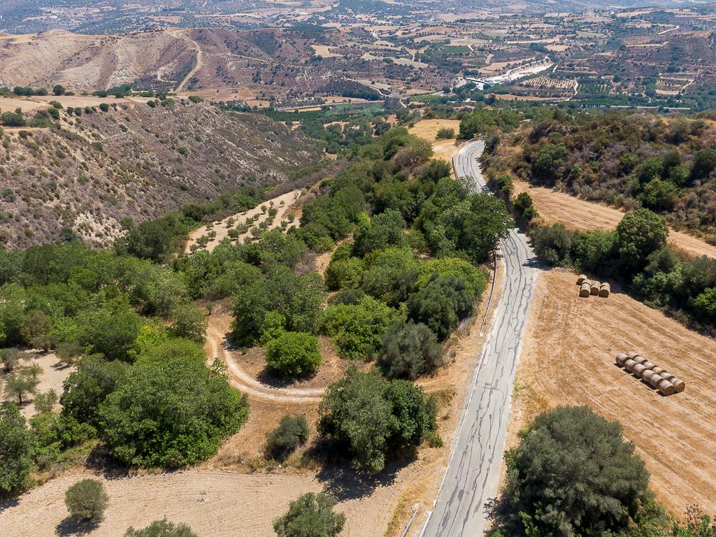 Field-Kato Akourdaleia-PR41469