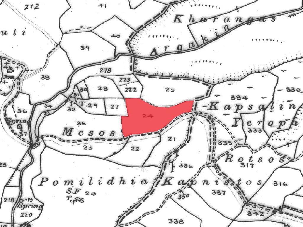 Field (Share) - Kato Akourdaleia, Paphos