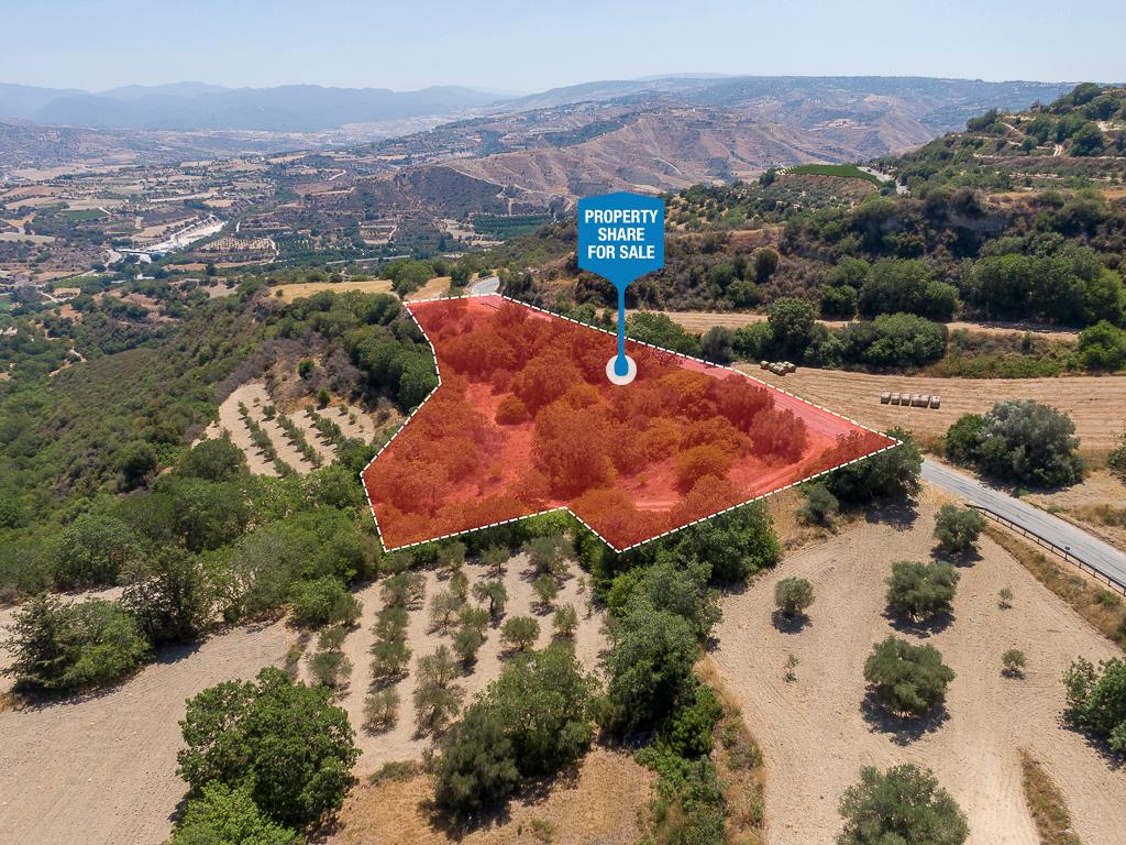 Field (Share) - Kato Akourdaleia, Paphos