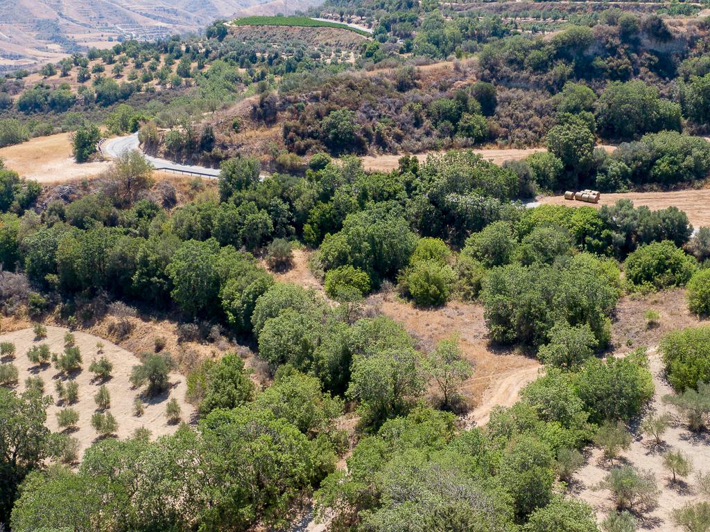 Field (Share) - Kato Akourdaleia, Paphos