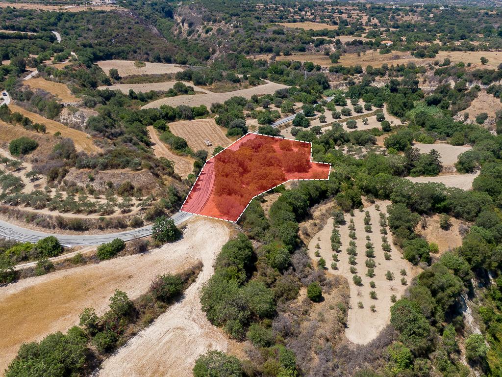 Field (Share) - Kato Akourdaleia, Paphos