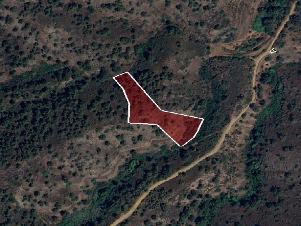 Field-Korakou-PR42098