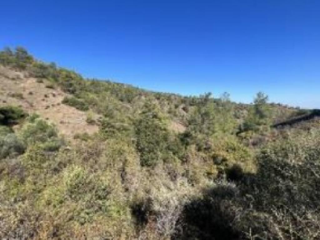 Field-Korakou-PR42098