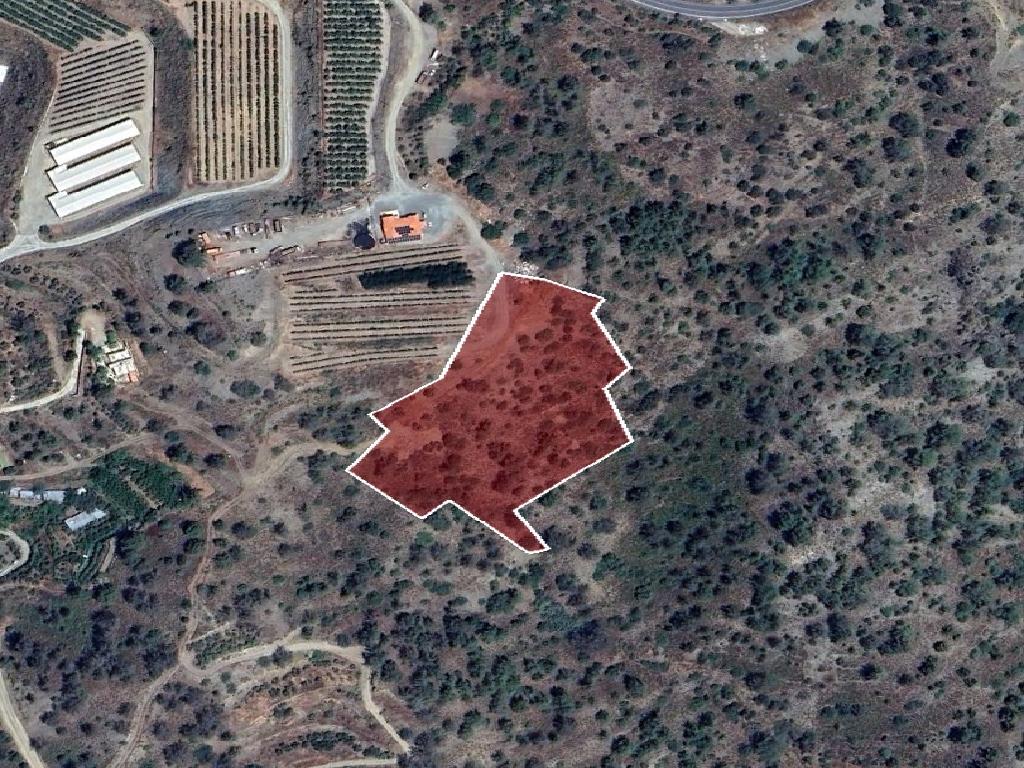 Field-Pelendri-PR42119