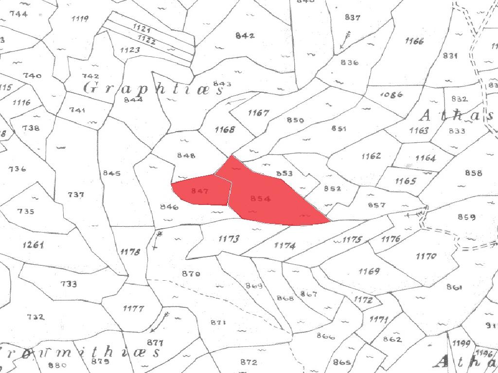 Field-Vasa Koilaniou-CP10105