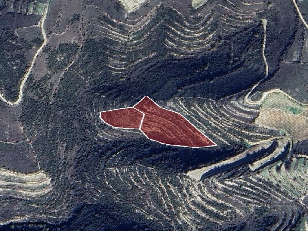 Field-Vasa Koilaniou-CP10105