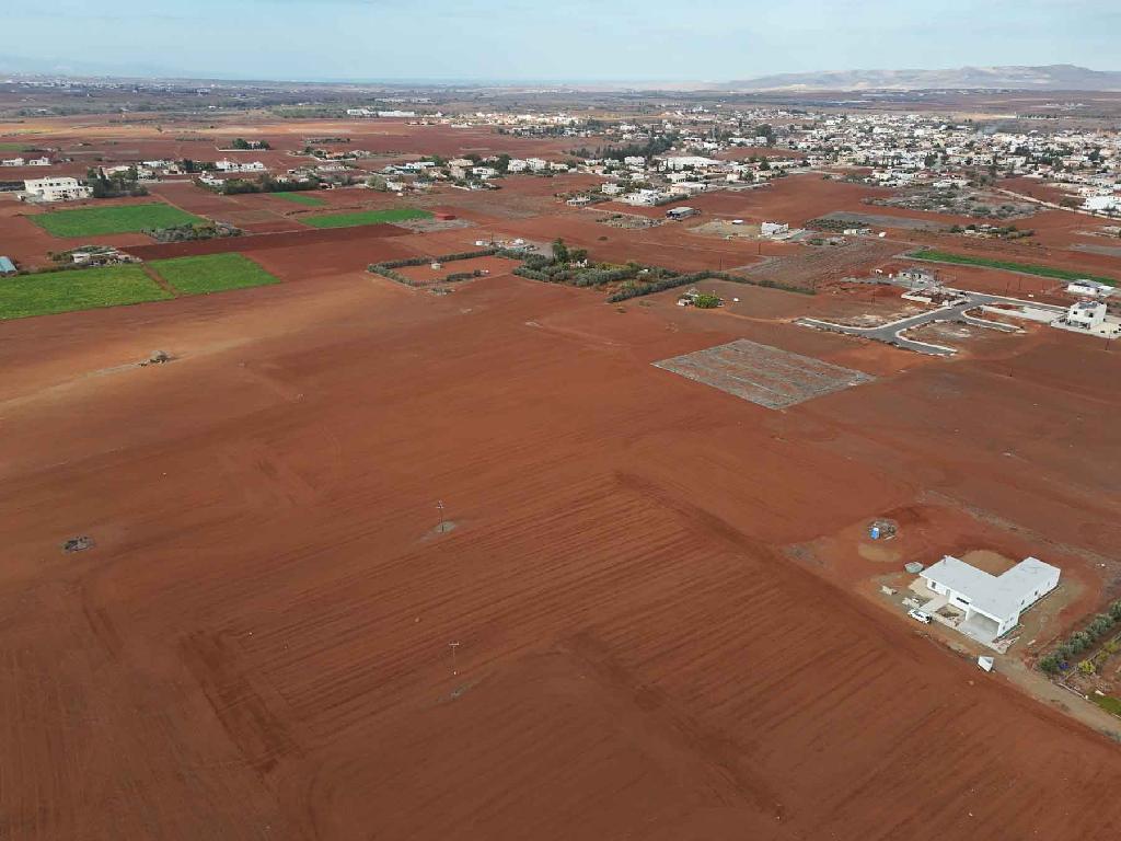 Field-Kokkinotrimithia-PR44622