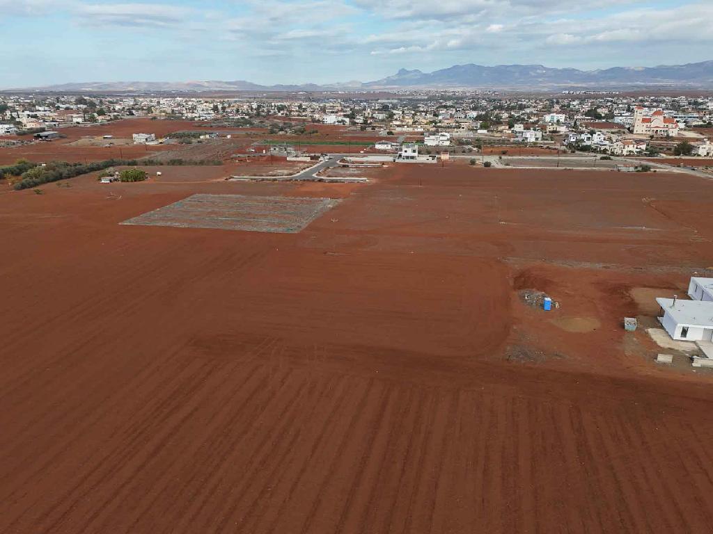 Field-Kokkinotrimithia-PR44622